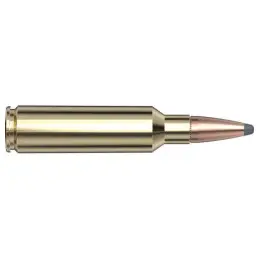 Hornady 300 WSM 165 gr InterLock® American Whitetail®