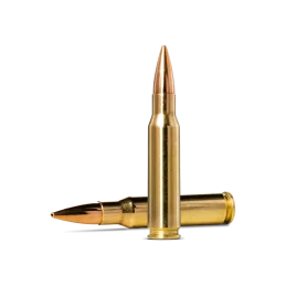 Norma Golden Target .308 Winchester 10g/155gr Ammunition