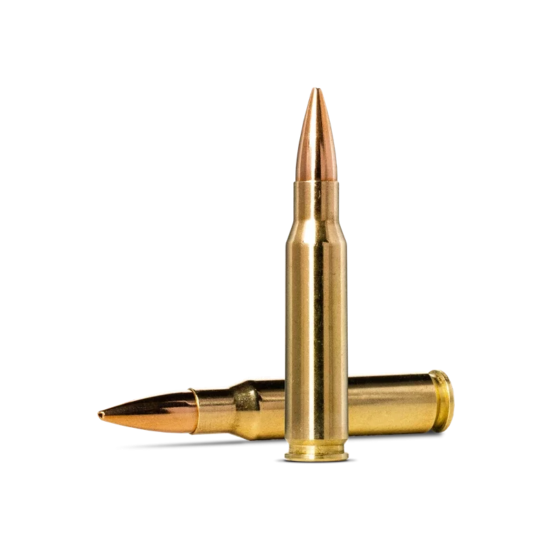 Norma Golden Target .308 Winchester 10g/155gr Ammunition Norma Golden Target .308 Winchester 10g/155gr Ammunition
