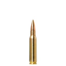 Norma Golden Target .308 Winchester 10g/155gr Ammunition