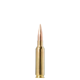 Norma Golden Target 6,5 Creedmoor 130gr Ammunition