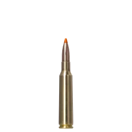 Norma 6,5 × 55 SE SP 140grs/9.1g
