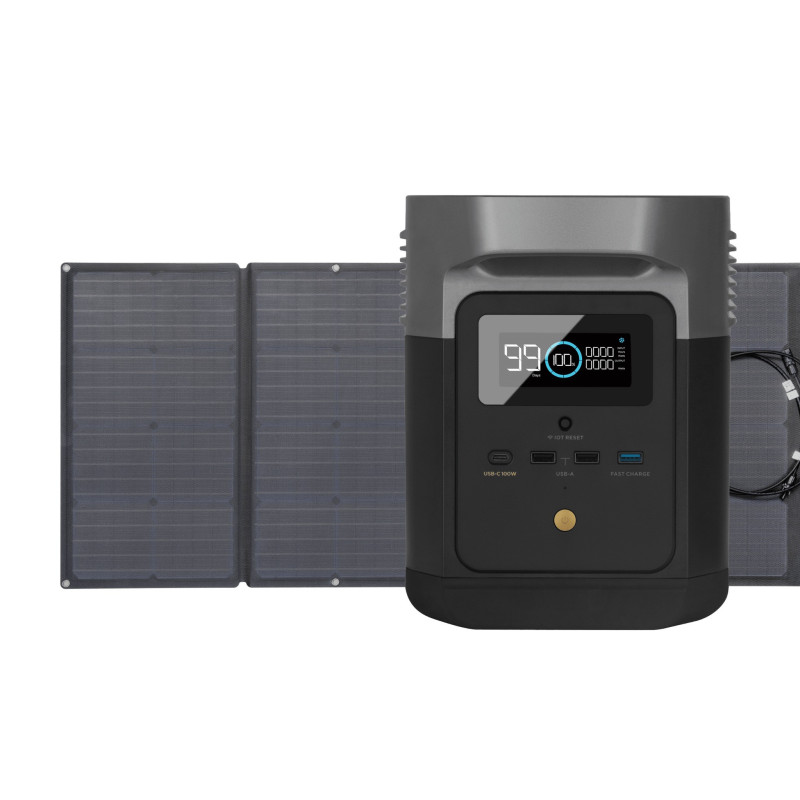 EcoFlow DELTA mini (882Wh) + 160W 2 Solar Panel EcoFlow DELTA mini (882Wh) + 160W 2 Solar Panel