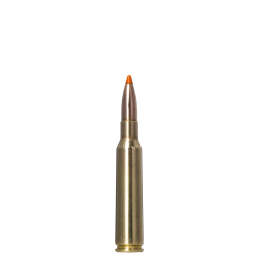 Norma 6,5 × 55 SE SP 140grs/9.1g