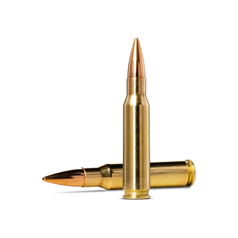 Norma Golden Target .308 Winchester 10g/155gr Ammunition Norma Golden Target .308 Winchester 10g/155gr Ammunition