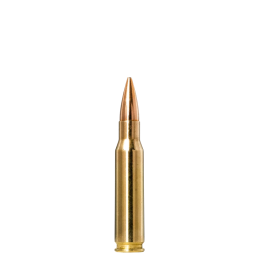 Norma Golden Target .308 Winchester 10g/155gr Ammunition