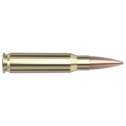 Hornady 308 Win 178 gr BTHP Match™ Ammunition