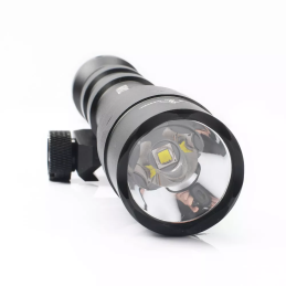 WADSN M600DF Dual Fuel Led Scout Light - Black