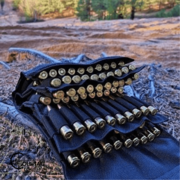 Cole-TAC Ammo Book 120 (.308 Family)