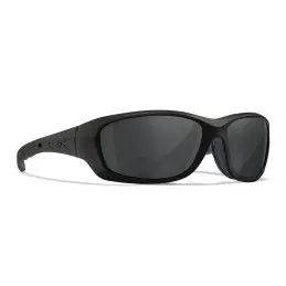 Wiley-X WX Gravity sunglasses (Matte Black/Smoke Grey)