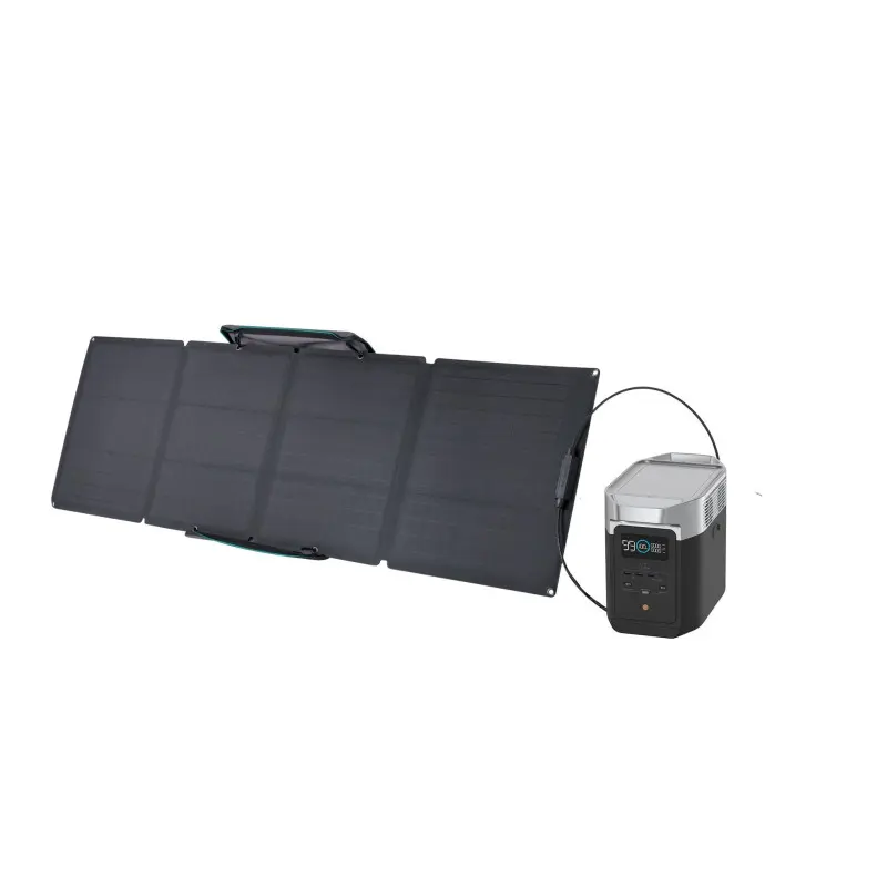 EcoFlow DELTA 2 (1024 Wh) + 110W 1 Portable Solar Panel
